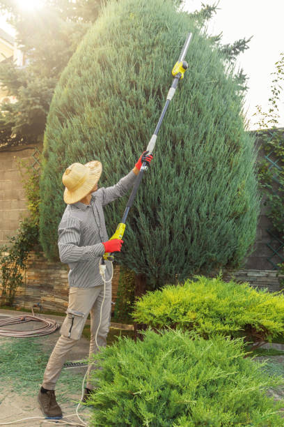 Best Sod Installation  in Leavenworth, KS